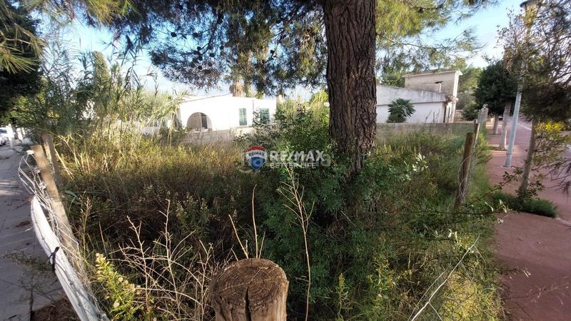 Foto e6f1aa79-6ceb-4f26-8f4a-bfced3b02a8d. Finca rústica suelo urbano de 270 m en puerto en port d´Alcúdia-platja dálcúdia Alcúdia