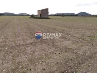 Terreny residencial  11. 2 terrenos con 31400m2 edificables en sineu