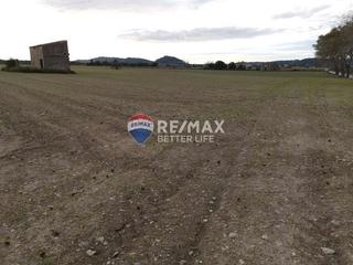 Residential Plot  11. 2 terrenos con 31400m2 edificables en sineu