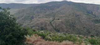 Finca rústica  Calle carretera de almeria. Cortijo en sierro de 3 hectáreas.