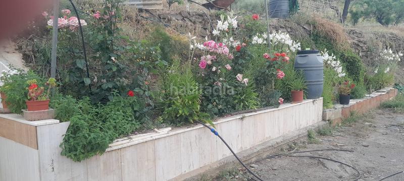 Foto fed9b2b0-8255-47f6-800b-2fa671c24def. Fondo rustico in Sierro