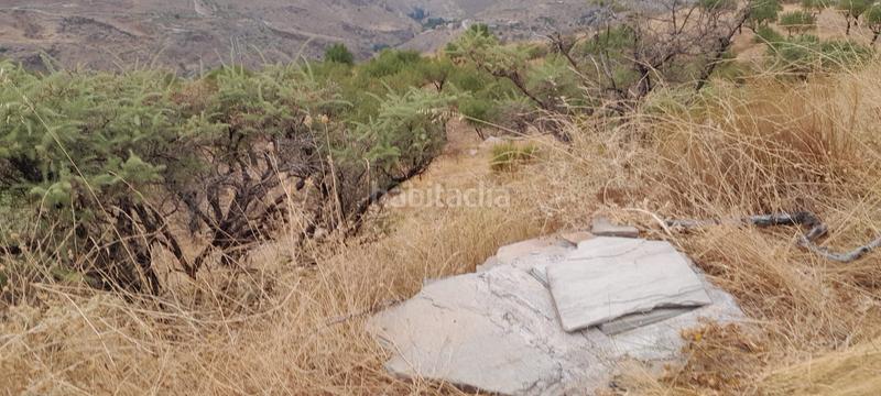 Foto 1d1089e2-8406-46ae-8301-f0f85344a2c3. Finca rústica finca . en Bacares