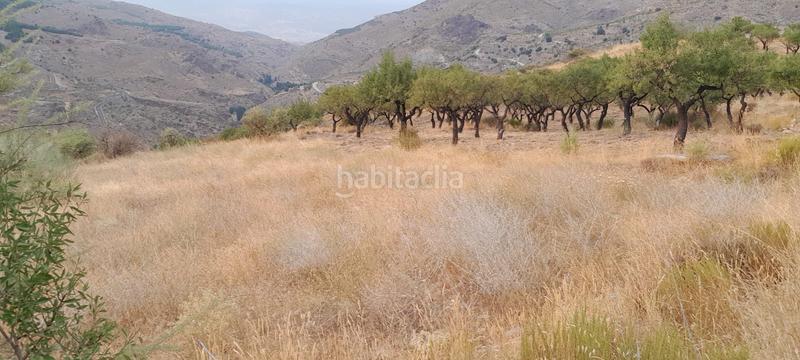 Foto 3d5a12bc-b3cd-4342-95a9-6bcc780594d8. Finca rústica finca . en Bacares