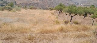 Rural plot  Calle ladera. Finca en bacares.