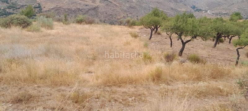 Foto 7919a86d-2565-4e26-9a0e-c4bfec418737. Finca rústica finca . en Bacares