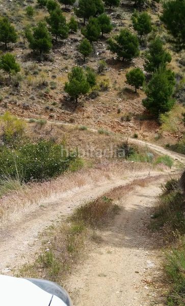 Foto 9916a757-7ce8-4c32-a708-650794c89df2. Finca rústica a Velefique