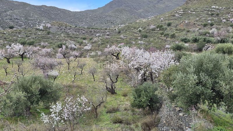 Foto d607e8bb-0883-47ac-9480-fe72bdc652e3. Finca rústica a Senés