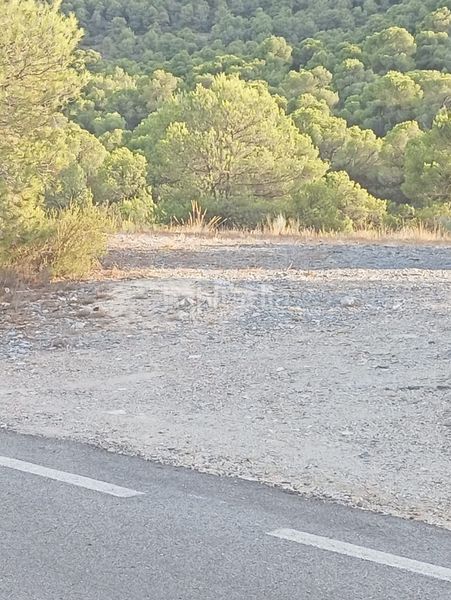 Foto 6b9a4e8a-3222-4167-8c69-685e10049931. Finca rústica a Baza