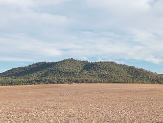Finca rústica a N/A