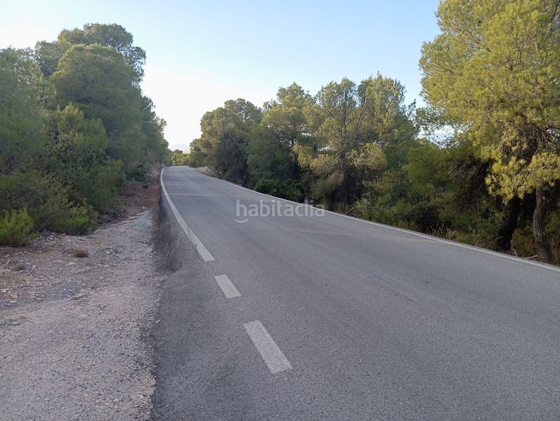 Foto c35d1f28-9d86-4b43-a743-9d09842d2b84. Finca rústica a Baza