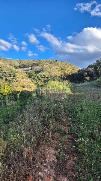 Foto 59f3cee2-ddb0-4e9c-b5d2-bac37a6084a4. Finca rústica a Bayarque