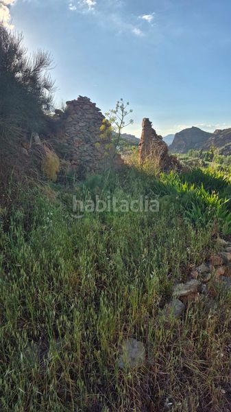Foto dc01fb9b-77f7-4504-aac7-803dd0b94135. Finca rústica a Bayarque
