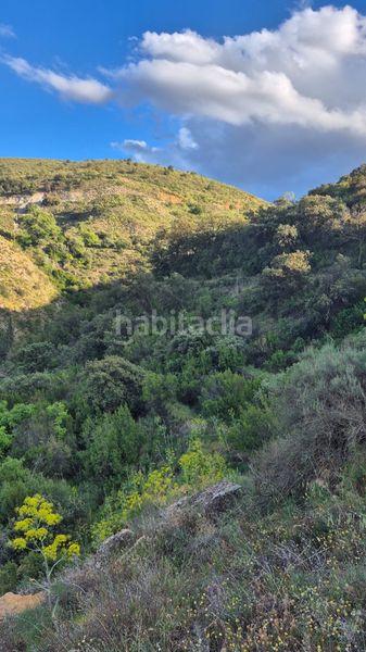 Foto eed8ab4d-61ba-4131-9155-0c029d47f744. Finca rústica a Bayarque