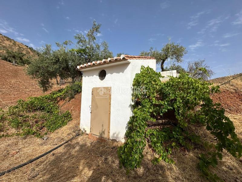 Foto 00effedb-12ab-4998-932e-0224a5c76ffd. Masía casa rural en venta en Álora