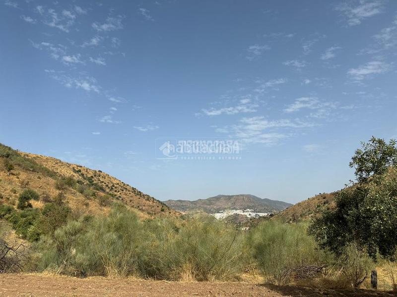 Foto 25d01af5-12f1-4cf6-a763-bc48635024d2. Masía casa rural en venta en Álora