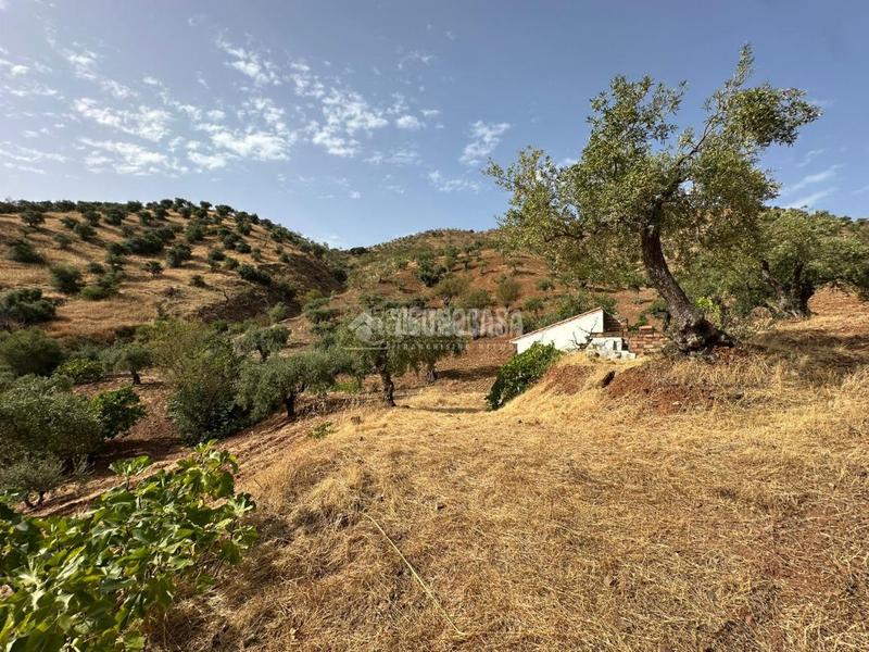 Foto 2e1ab3cb-0dec-488c-83ac-d8255152ebce. Masía casa rural en venta en Álora