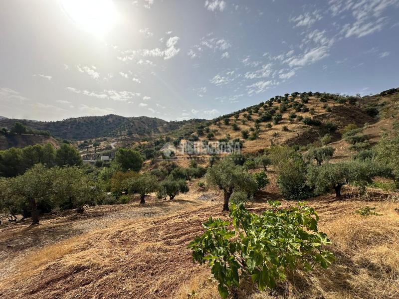 Foto c7fc7745-2576-4cab-a77f-5fd511f7c63a. Masía casa rural en venta en Álora
