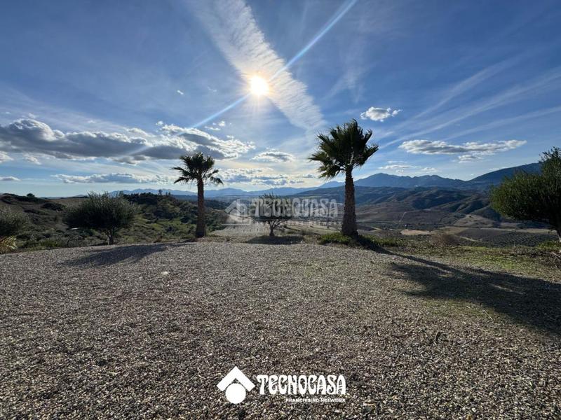 Foto 646ae0c9-e167-41aa-b5ae-277b68efa7d6. Mas dans Álora