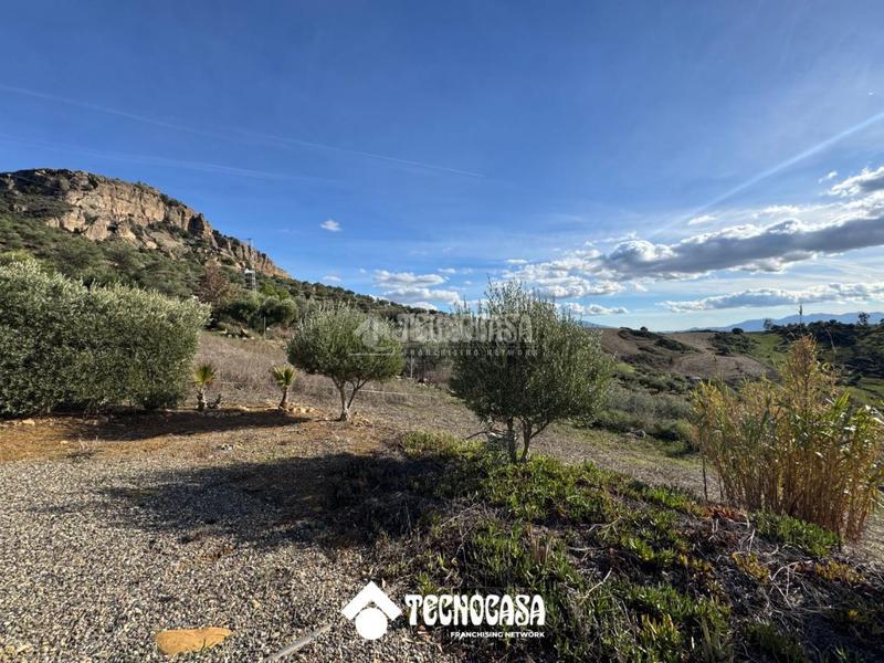 Foto 8888362f-e93c-4338-b454-030186e36e18. Mas dans Álora