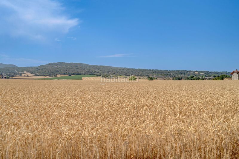 Foto 54d35e76-1733-4b3e-984c-3aed34479a29. Wohngrundstück in gereña entitatea in Zona Rural Noroeste Vitoria - Gasteiz