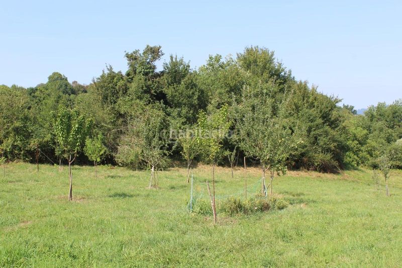 Foto a9665472-45e3-4705-97fc-eb0542df0cd0. Finca rústica a Donamaria
