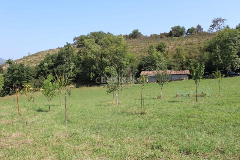 Foto c006a84b-c81d-4d82-924c-89beb0b13052. Finca rústica a Donamaria