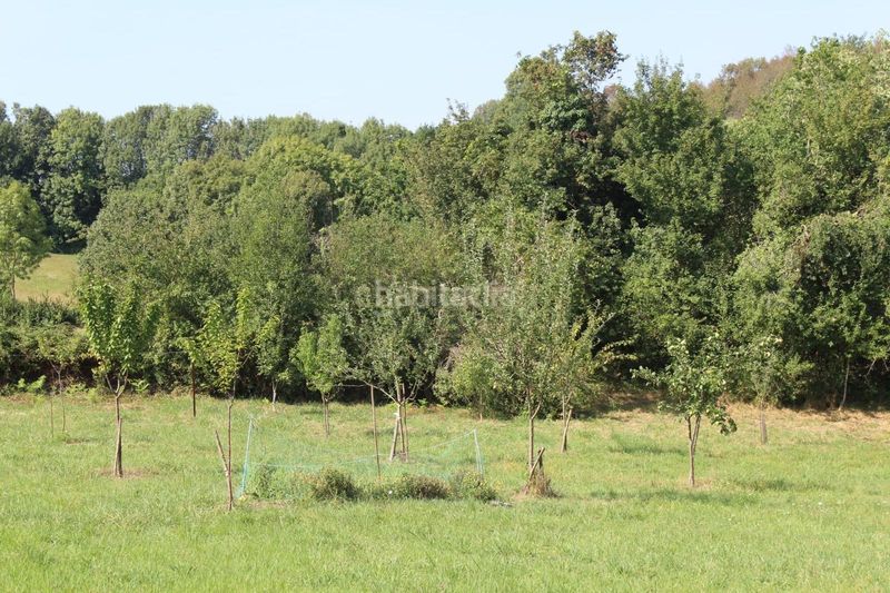 Foto ee389037-4979-4500-a564-45a8598fb766. Finca rústica a Donamaria