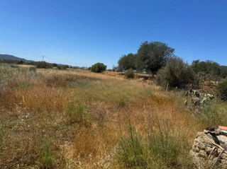 Wohngrundstck in Sant Antoni de Portmany
