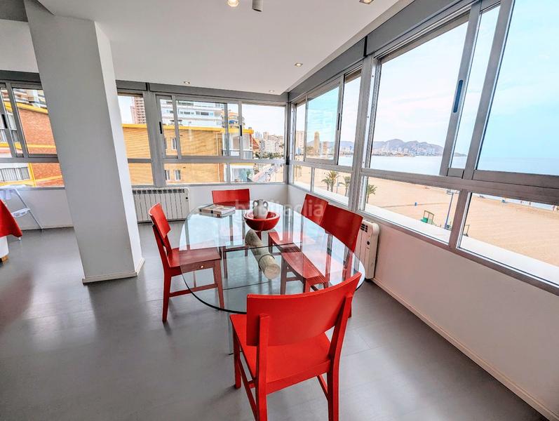 Foto 8ac56095-2574-4d79-acde-1a23d349ce05. Affitto appartamento con piscina in Playa Poniente Benidorm