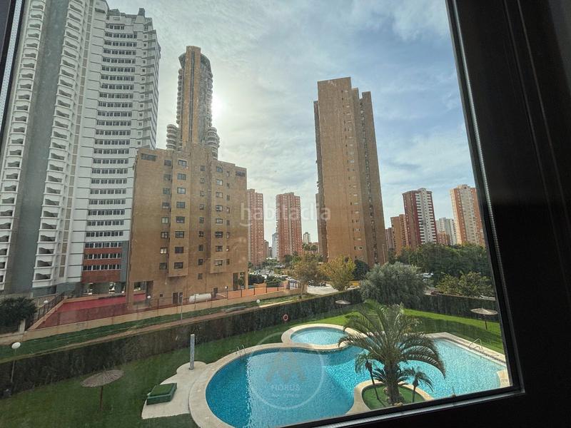 Foto cb78321d-af3d-4ff6-87b4-4f152bcf5462. Pis amb calefacció aparcament piscina a Juzgados - Plaza de Toros Benidorm