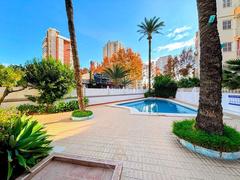 Foto 503ff94d-1bcf-401e-9402-cf9cf45b1c3a. Alquiler piso exclusivo apartamento en alquiler con vistas al mediterráneo en Benidorm