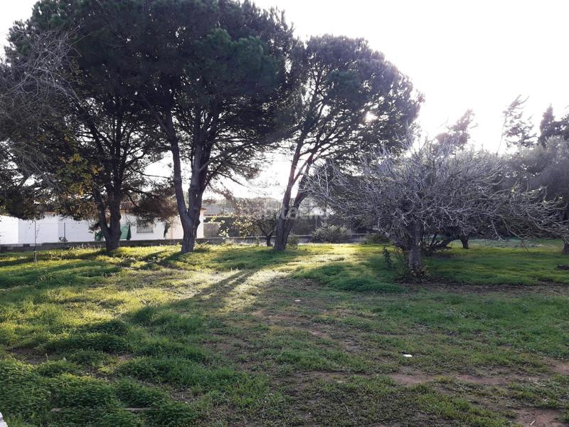 Foto 029af3d8-1466-4473-851a-c85dd7726a3d. Chalet mit parking in Las Lagunas - Campano Chiclana de la Frontera