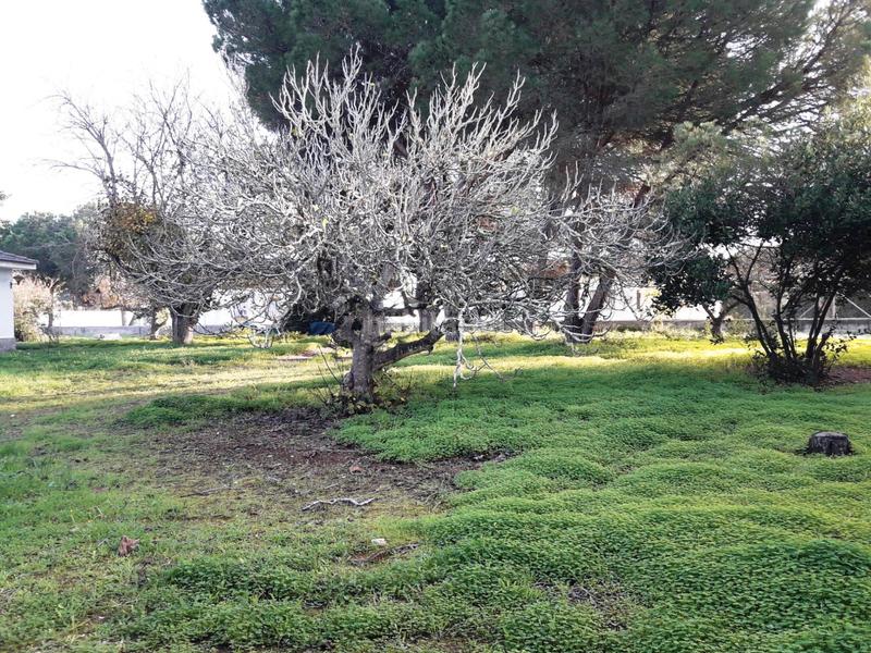 Foto 2647e66d-26b7-45c4-81aa-8367620f83ef. Chalet mit parking in Las Lagunas - Campano Chiclana de la Frontera