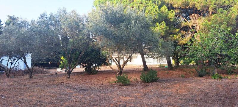 Foto 7c8e911a-23ef-471c-9ed7-7659023b970a. Chalet with parking in Las Lagunas - Campano Chiclana de la Frontera