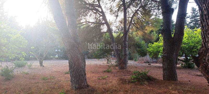 Foto c3bc83e3-9a2e-4118-bc99-8d425a7d54e0. Chalet with parking in Las Lagunas - Campano Chiclana de la Frontera