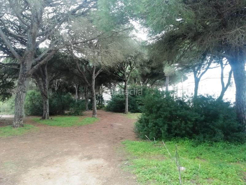 Foto e213ca69-4b60-4de5-84c2-66fda3093431. Chalet avec parking dans Las Lagunas - Campano Chiclana de la Frontera