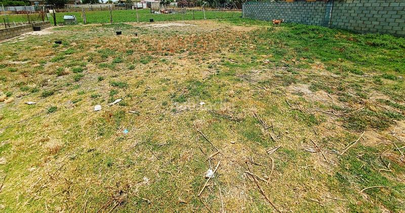 Foto 68d77c44-ab6f-4375-b0fa-fa0fa313e2c0. Fondo rustico in Carretera de Sanlúcar - Sudamérica Puerto de Santa María (El)