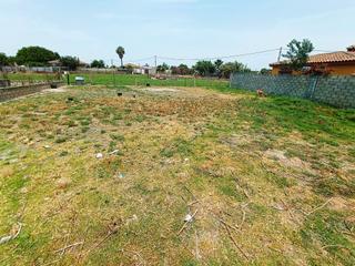 Finca rústica a Carretera de Sanlúcar - Sudamérica. Parcela rustica