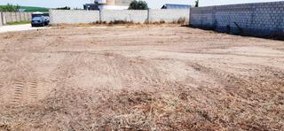 Landgut in Cuatro Pinos - El Carmen