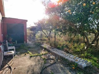 Mas  Calle las veguetas