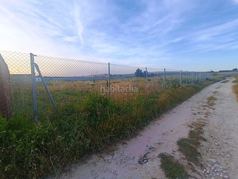 Foto b0a166e0-39d1-4524-abb5-58c8c5ef9ac9. Finca rústica a Cuatro Pinos - El Carmen Puerto de Santa María (El)