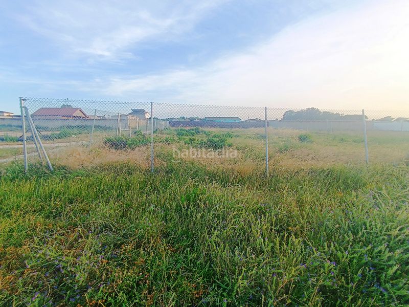 Foto c602ac19-26ee-4e89-b9c9-652e4d89a549. Finca rústica a Cuatro Pinos - El Carmen Puerto de Santa María (El)
