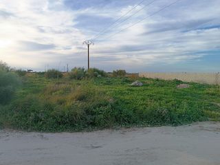 Fondo rustico in Carretera de Sanlúcar - Sudamérica. Parcela rustica