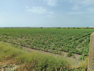 Finca r�stica en El Juncal - Vallealto. Parcela segregada