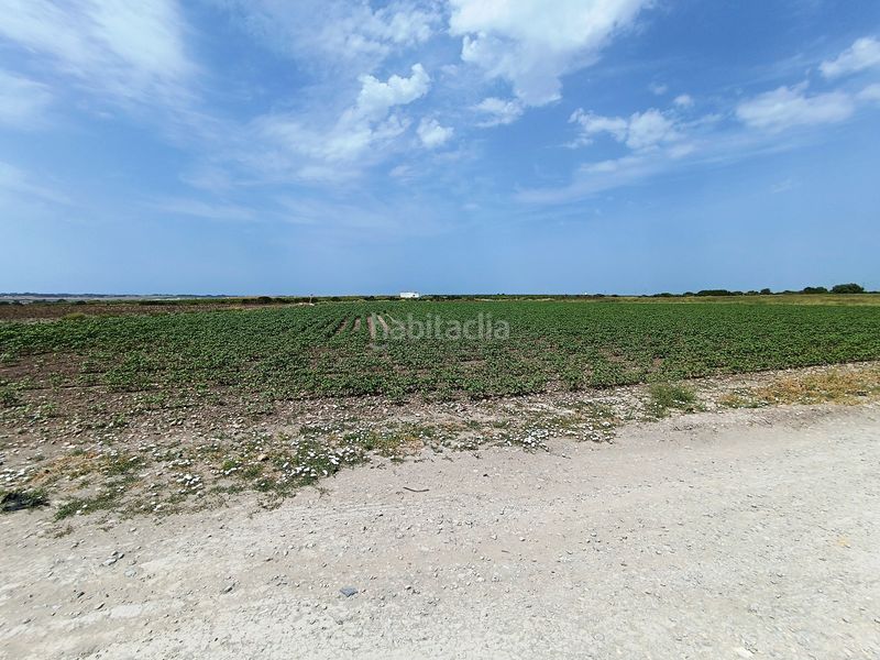 Foto 663310ca-0006-42f7-842c-09e12bb9c178. Finca rústica a El Juncal - Vallealto Puerto de Santa María (El)