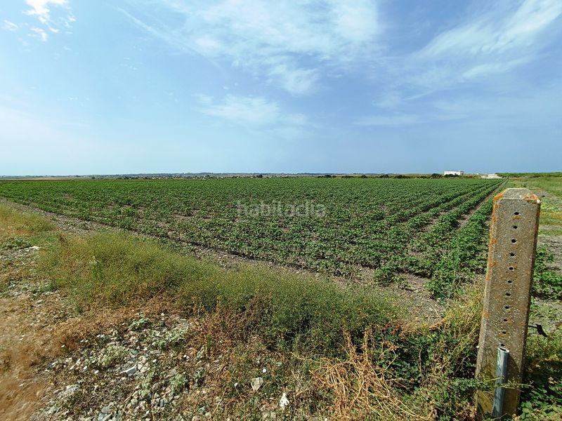 Foto 6cb89a68-a11e-42d5-9271-58c374c3ad8b. Finca rústica a El Juncal - Vallealto Puerto de Santa María (El)