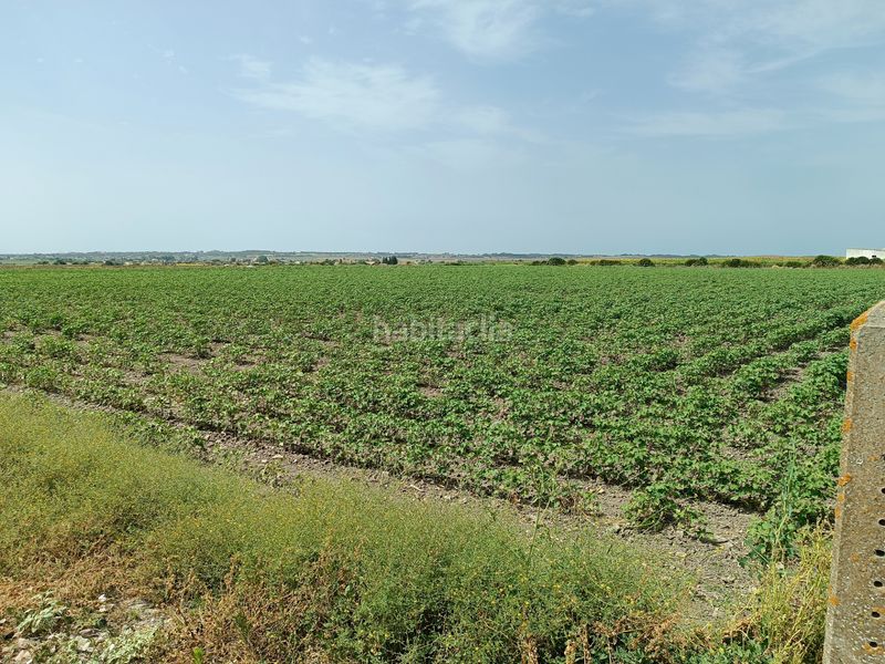 Foto d2069e82-25dc-4496-8a77-19dbb2d3c117. Finca rústica a El Juncal - Vallealto Puerto de Santa María (El)