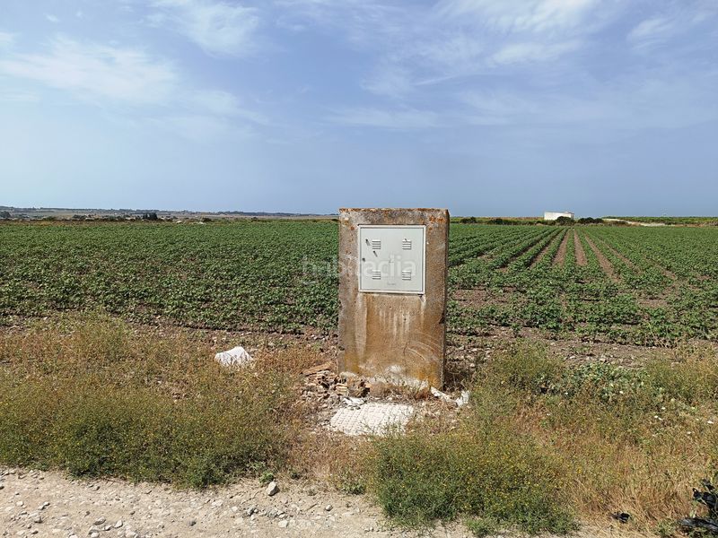 Foto d7392231-bc9d-4671-8f38-7750bbfe925d. Finca rústica a El Juncal - Vallealto Puerto de Santa María (El)