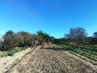 Finca r�stica en El Juncal - Vallealto. Parcela rustica