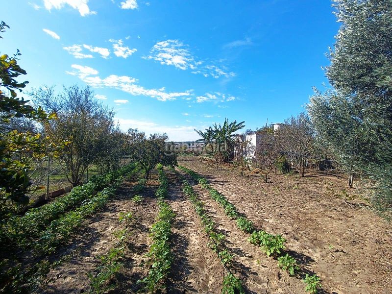 Foto 033dd359-9d4f-46e1-8805-80590b094f72. Finca rústica a El Juncal - Vallealto Puerto de Santa María (El)